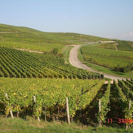 Gite Du Vigneron テュルクアイム エクステリア 写真